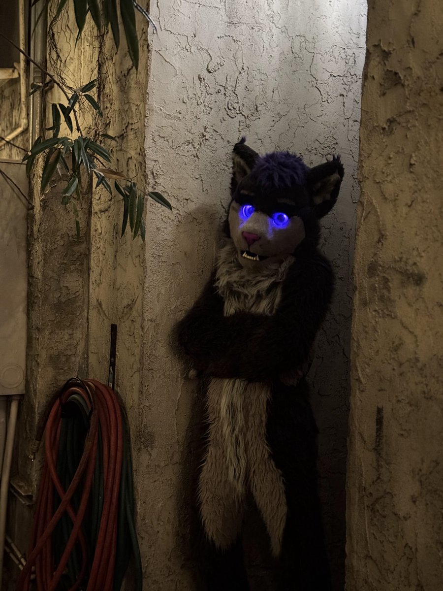 Ok but do y'all see the vision tho 👁👁💜

👔: <a href="/ByCats4Cats/">BC4C: More than meow.</a>