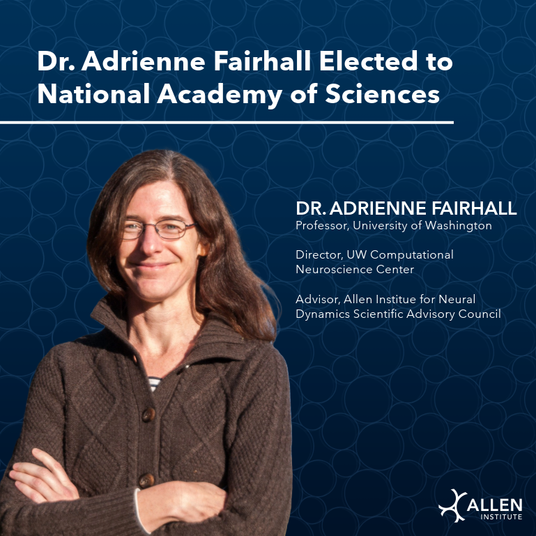 Allen Institute (@alleninstitute) on Twitter photo Congratulations to <a href="/alfairhall/">Adrienne Fairhall</a> on being elected to @theNAsciences!
Dr. Fairhall is a Professor at <a href="/UW/">University of Washington</a>, Director of the <a href="/uwcnc/">UW Computational Neuroscience Center</a>, and a member of the <a href="/AllenInstitute/">Allen Institute</a> for Neural Dynamics Scientific Advisory Council. Congratulations to <a href="/alfairhall/">Adrienne Fairhall</a> on being elected to @theNAsciences!
Dr. Fairhall is a Professor at <a href="/UW/">University of Washington</a>, Director of the <a href="/uwcnc/">UW Computational Neuroscience Center</a>, and a member of the <a href="/AllenInstitute/">Allen Institute</a> for Neural Dynamics Scientific Advisory Council.