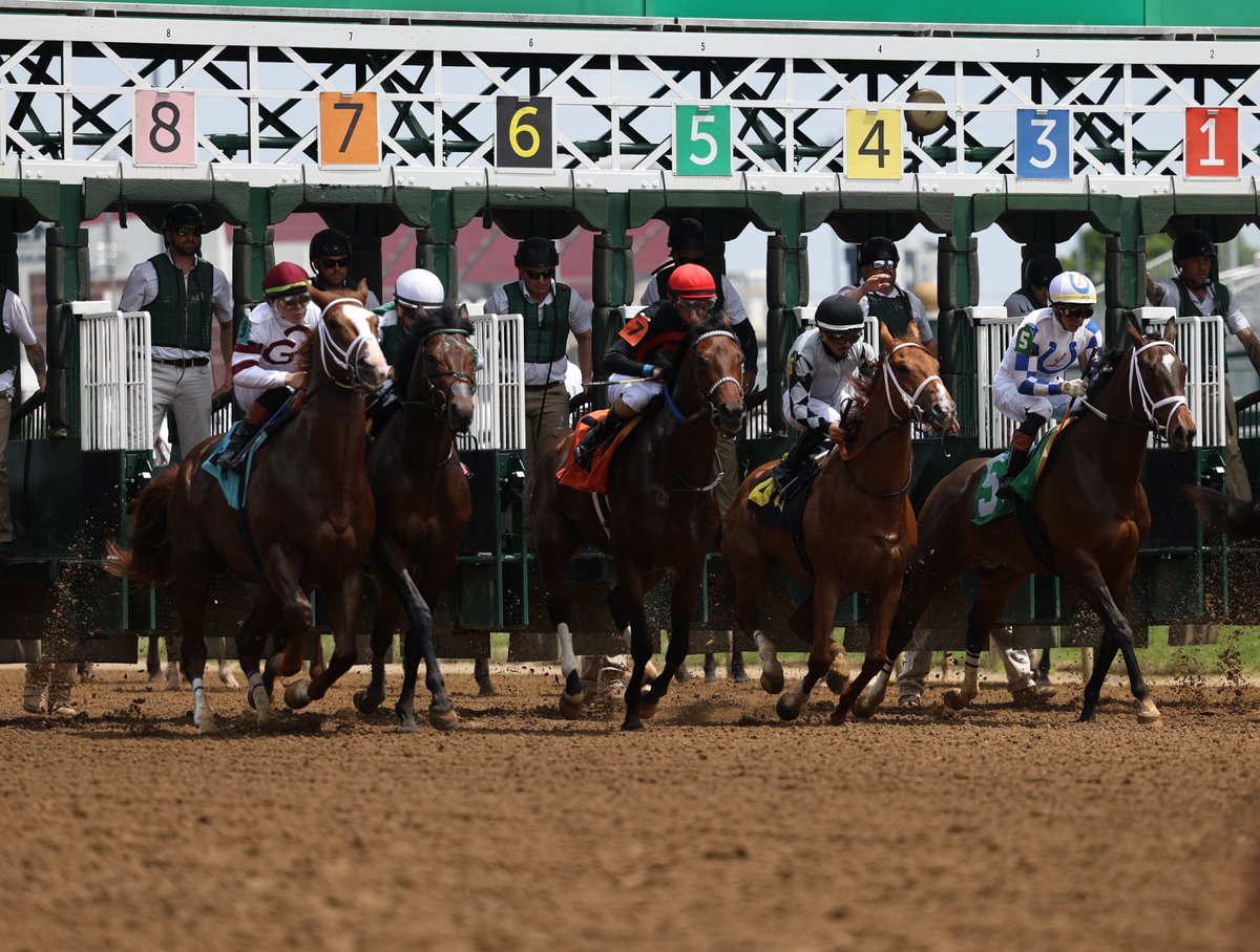 Sam Draut tweet media