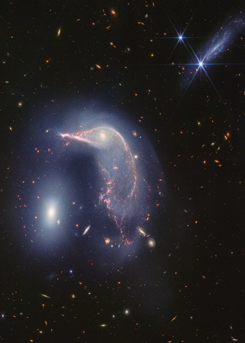 The distorted spiral galaxy at the centre, the Penguin, and the compact elliptical galaxy at the left, the Egg, are interacting in this nice object, Arp 142,  in a ‘fireworks’ of intense new star formation.