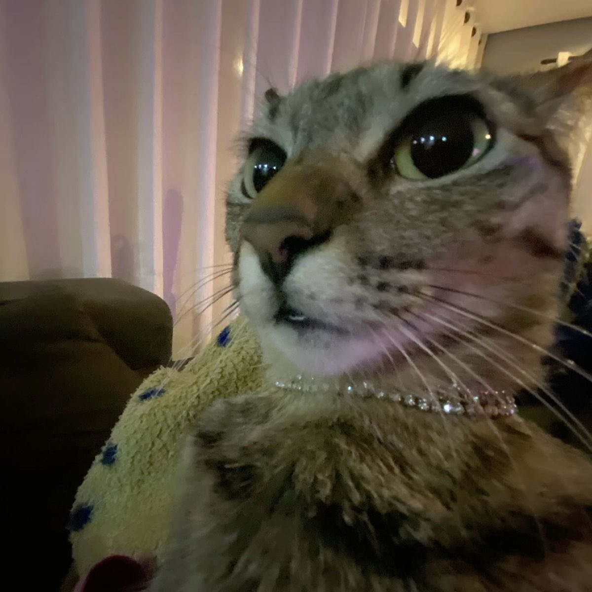 😳