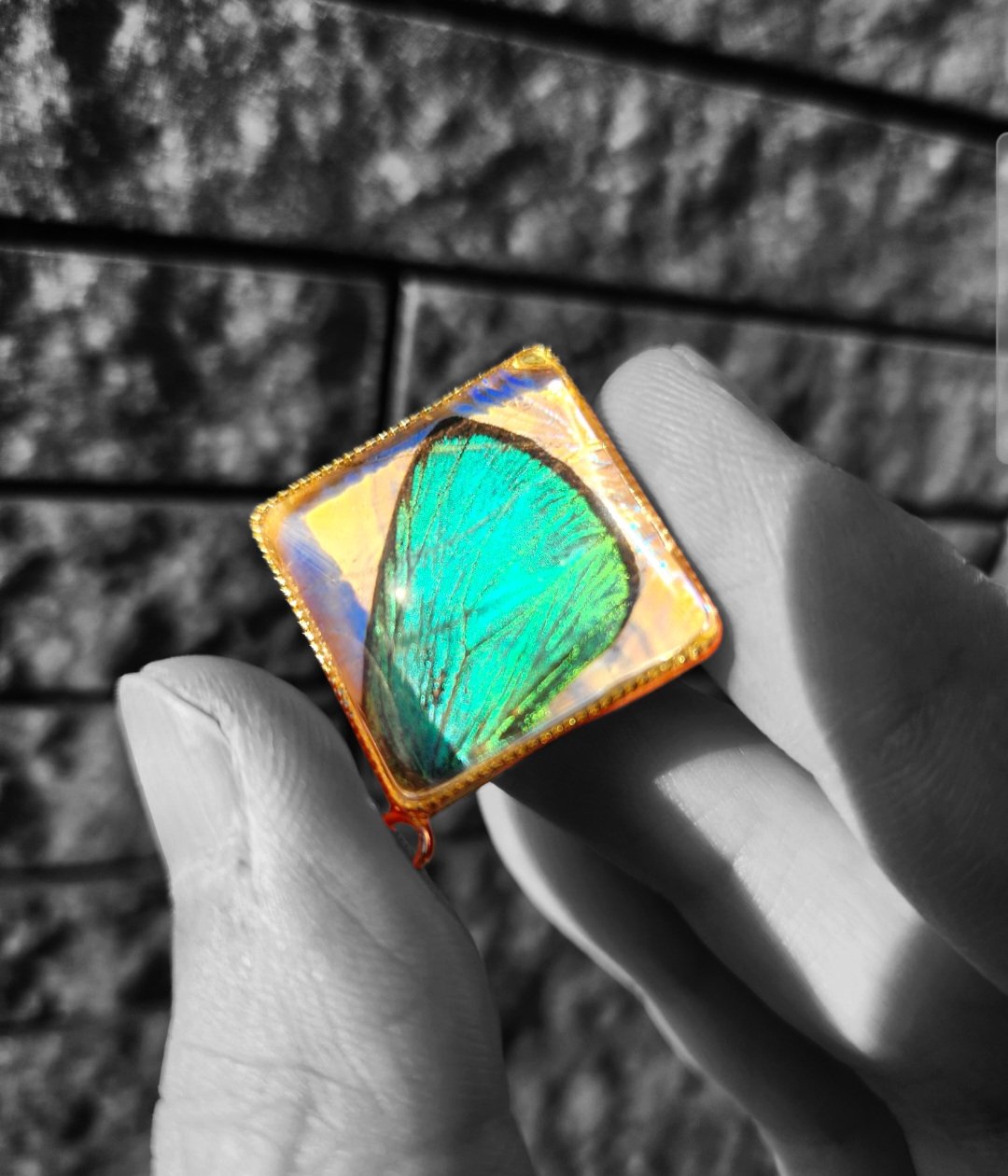 🦋ももすけ🦋【本物の蝶の羽でアクセサリー作る人