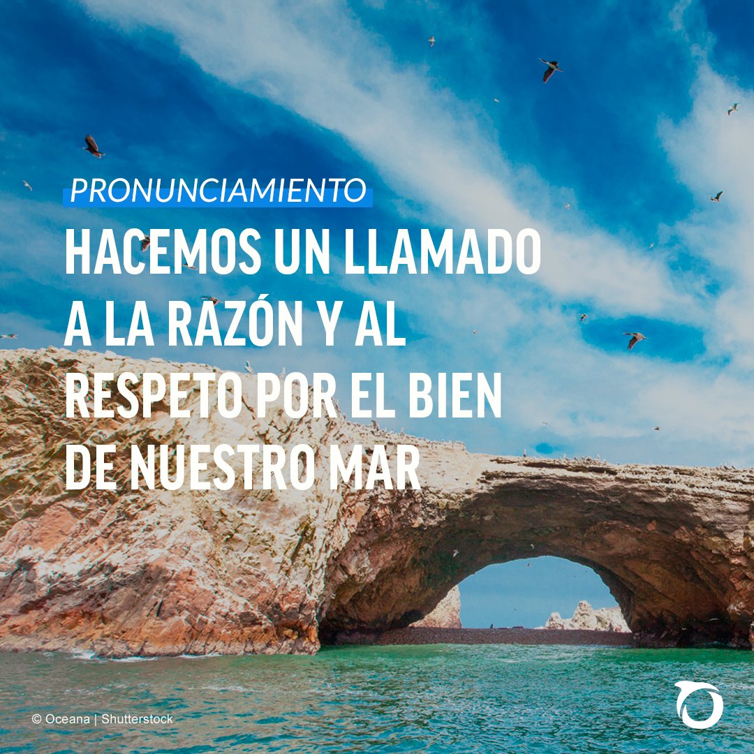 Oceana_Peru's tweet photo. #Pronunciamiento | Hacemos un llamado a la razón y al respeto por el bien de nuestro mar

En las últimas semanas, la opinión pública ha sido testigo de una intensa y costosa campaña de desinformación contra nuestra organización. Ante esto, queremos precisar lo siguiente con claridad y firmeza. Sigue hilo🧵.