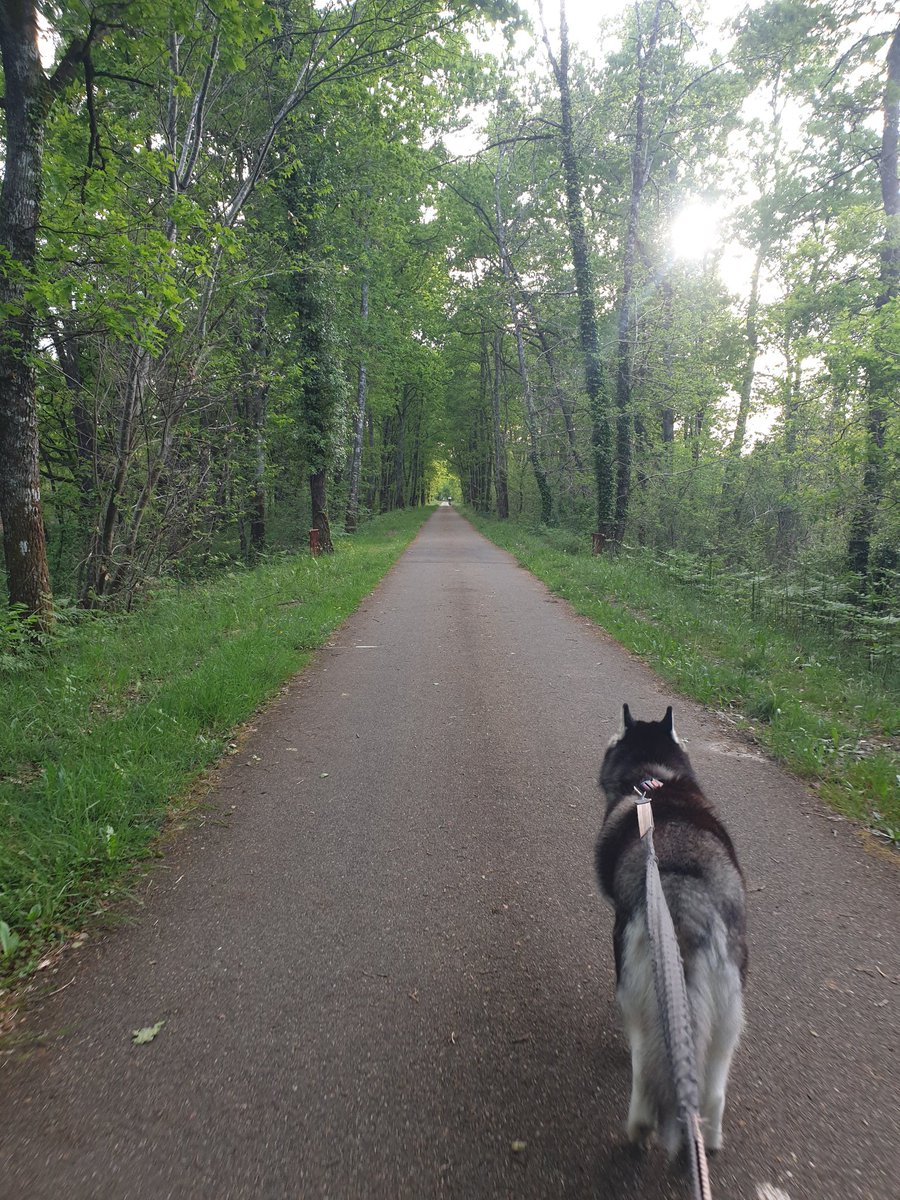 The Fitness Detective Wolf (@fquentin900cbr) on Twitter photo <a href="/The_Life_Bomb/">π±π£ THE LIFE BOMB | ALPHA PHASE I</a> π
πΊπΈπ¬π§Join the first 2000 users, this is just the beginning of the adventure!
π΅πΉπ§π·Junte-se aos primeiros 2000 usuΓ‘rios, isso Γ© apenas o comeΓ§o da aventura!
π«π·Venez parmi les 2000 premiers utilisateurs, ce n'est que le dΓ©but de l'aventure!
discord.gg/p8nyMVe2qW <a href="/The_Life_Bomb/">π±π£ THE LIFE BOMB | ALPHA PHASE I</a> π
πΊπΈπ¬π§Join the first 2000 users, this is just the beginning of the adventure!
π΅πΉπ§π·Junte-se aos primeiros 2000 usuΓ‘rios, isso Γ© apenas o comeΓ§o da aventura!
π«π·Venez parmi les 2000 premiers utilisateurs, ce n'est que le dΓ©but de l'aventure!
discord.gg/p8nyMVe2qW