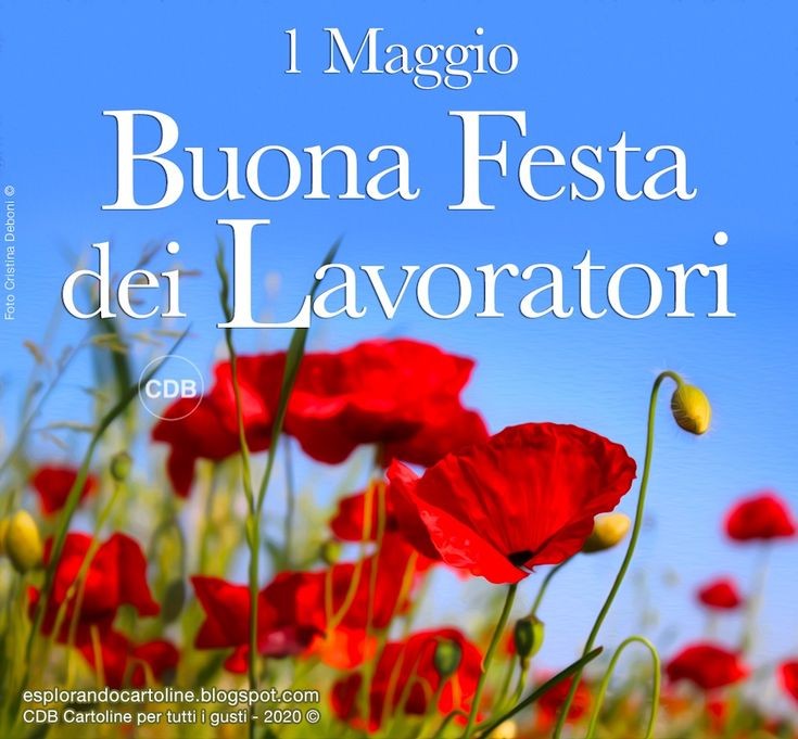 AndreaRatto2's tweet photo. Dedicato a tutti i CADUTI SUL LAVORO 🖤🖤🖤
#FestaDeiLavoratori #Lavoro https://t.co/5fkkPFGq7O