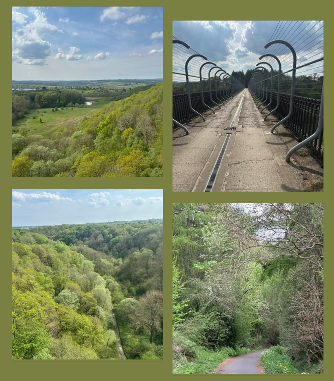 Ian_Gomersall's tweet photo. Lovely walk today on part of Waskerley Way, over Hownsgill Viaduct with its magnificent views. The Sweet Cicely was flowering in abundance, giving a gentle aniseed scent to the air. #Easter50 https://t.co/KTLfVo47Ty