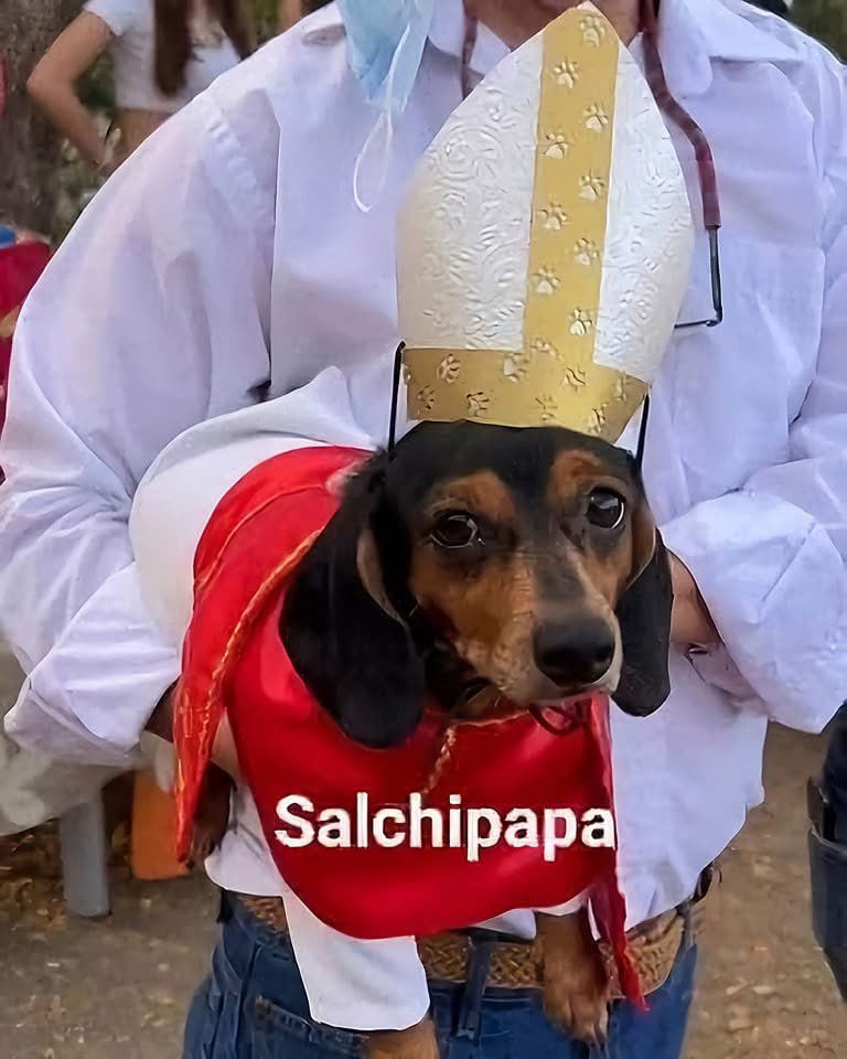 Rubén tweet media
