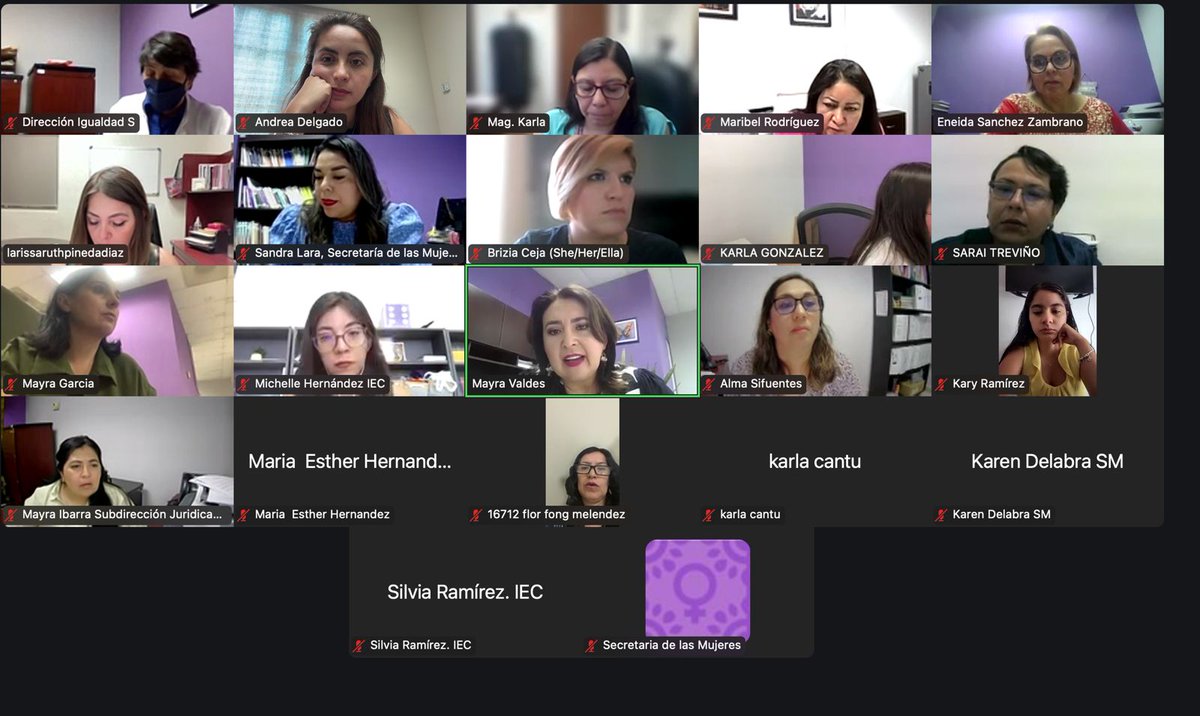 La Secretaria de las Mujeres y Presidenta del Observatorio de Participación Política de las Mujeres, Mayra Valdés González encabezó la reunión de trabajo con las integrantes permanentes y no permanentes para definir el Programa Anual de Trabajo.