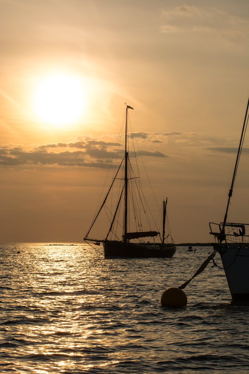 Love this photo from last weekend, moored boats in Blakeney Harbour silhouetted against the sun ⛵️ 

#photography #boats #sunset #thephotohour #blakeney #northnorfolk #norfolk #coast #boating #outdoors #blakeneypoint #photographyisart