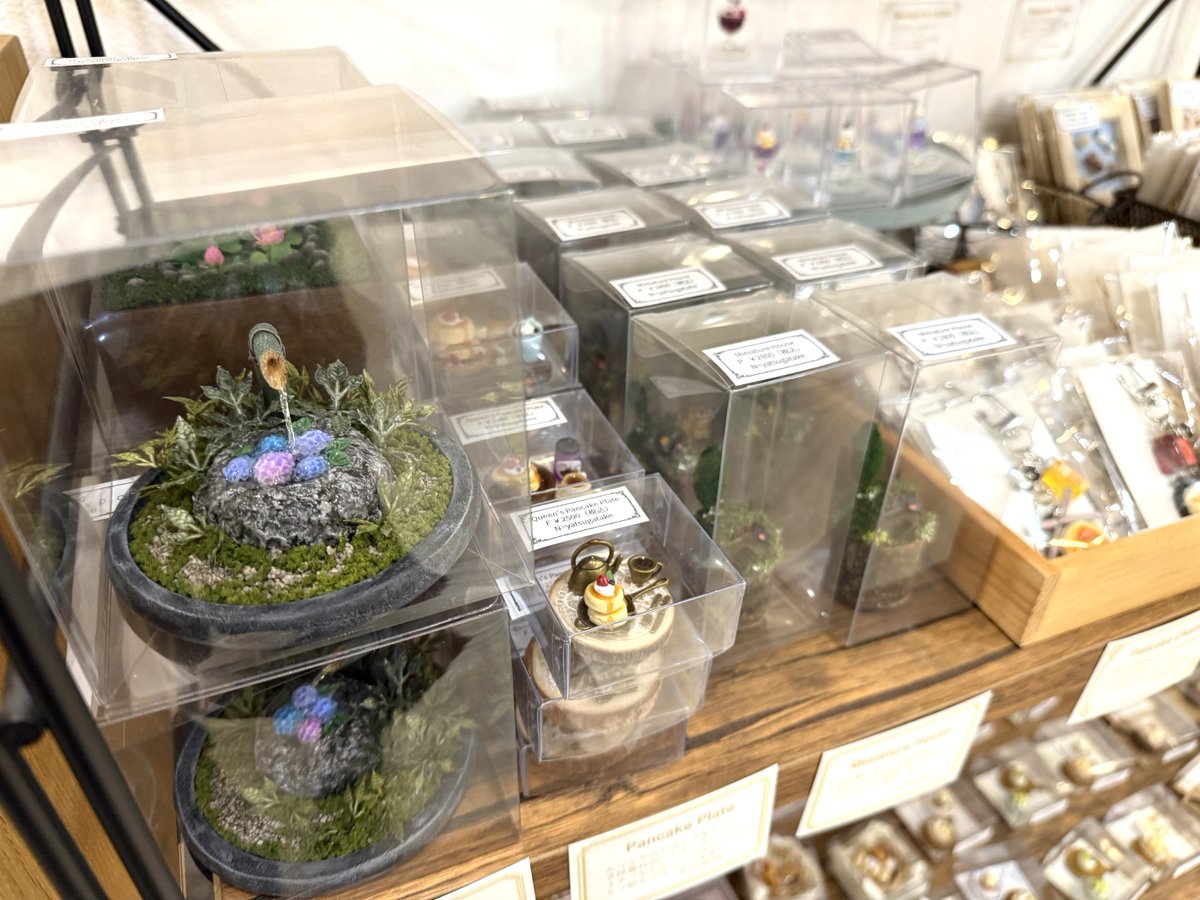 TODAYS GALLERY STUDIO.公式(TOKYO & NAGOYA) tweet media