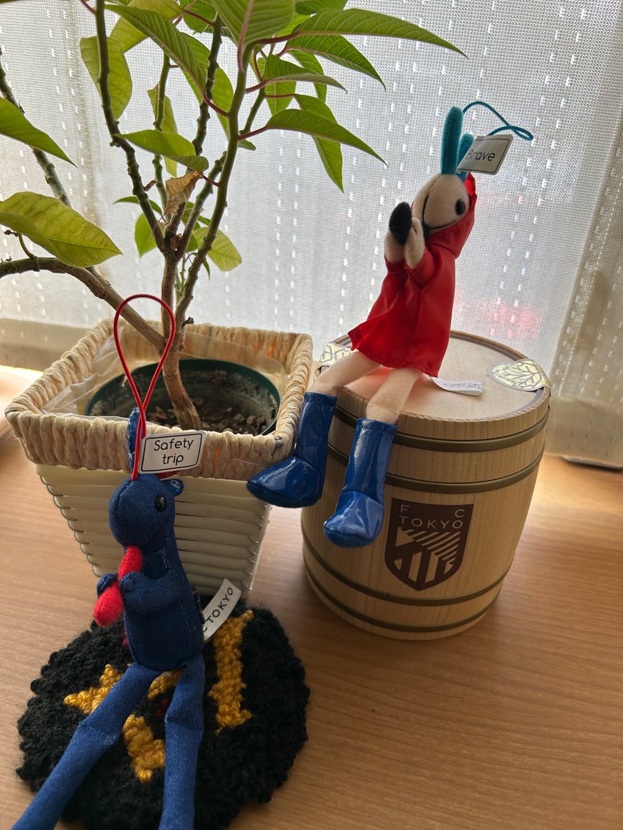 kaori1068's tweet photo. さらに新しい仲間が加入💙❤️
カラーメッセージは
青 safety trip 旅路の安全
赤 brave 勇気を与える
#FC東京
#KOKOPELLI®
#LOCOPELLI®
#R4T https://t.co/Ky3iv0cc6e