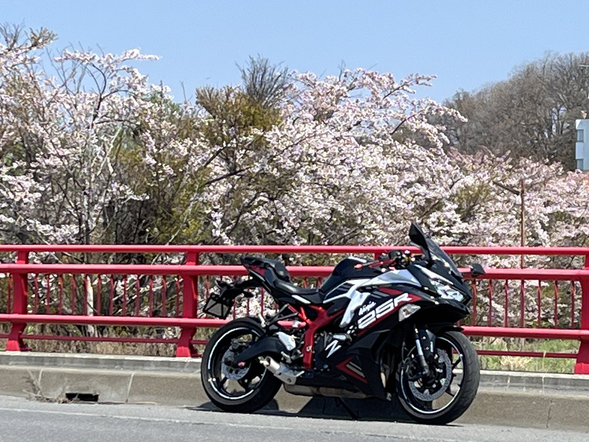 T2ninja's tweet photo. シーズンイン！
#zx25r https://t.co/vp2LW6s1By