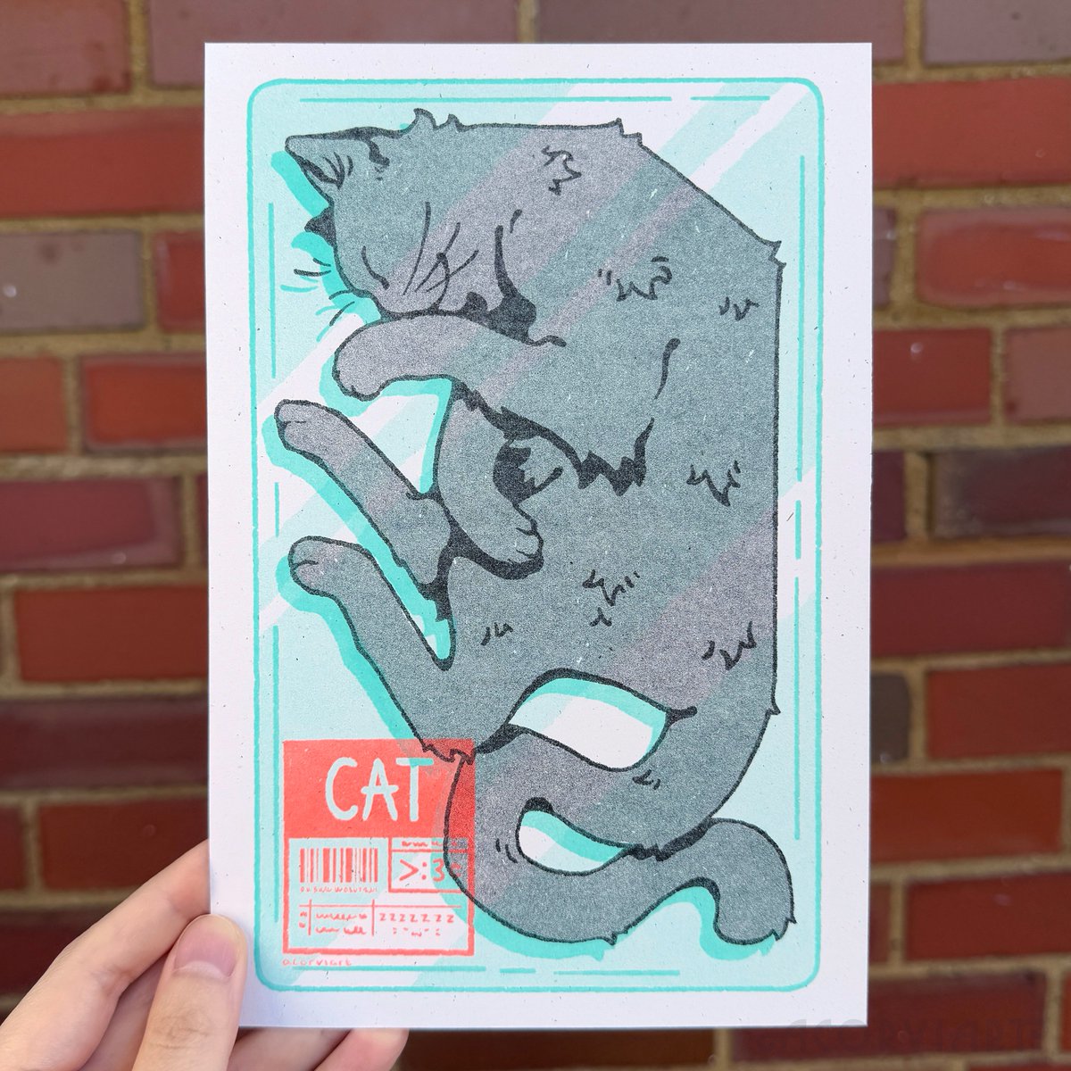 cat, riso (fluorescent orange, black, mint)

shop update on may 3, 2pm cst