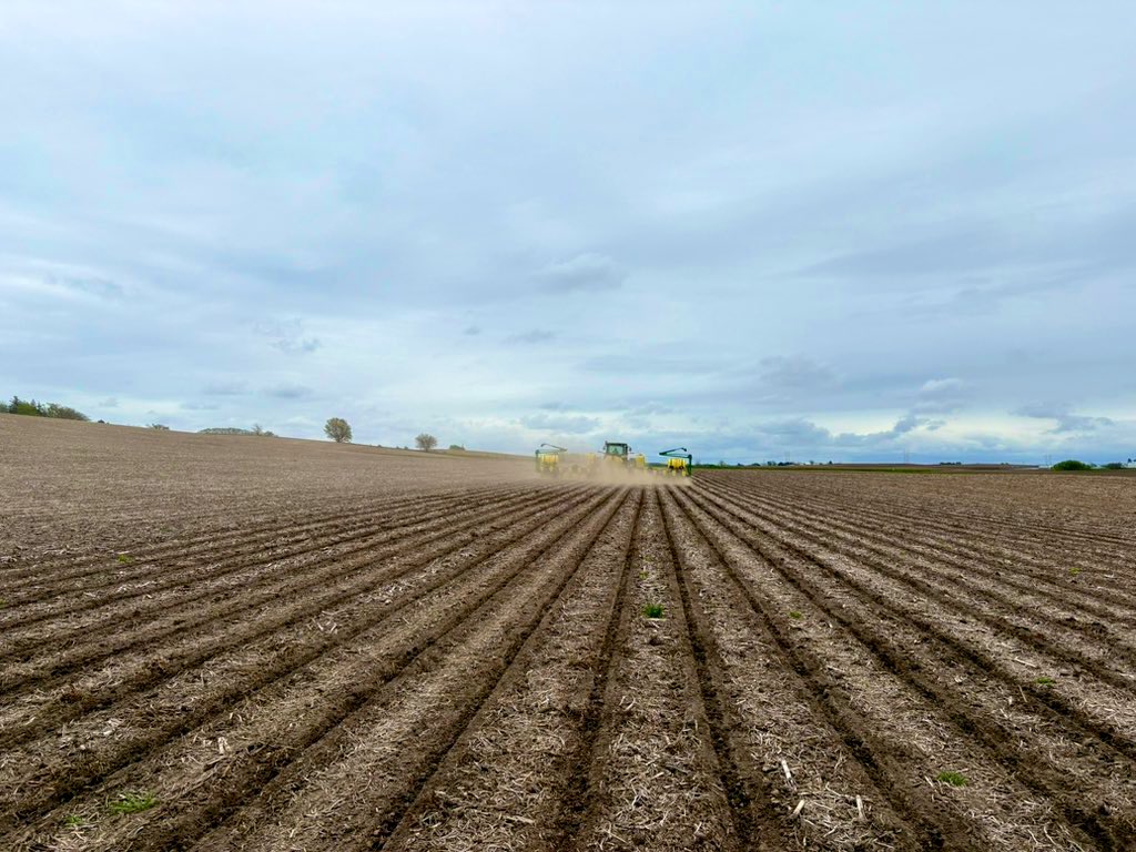 Crystal Williams tweet media