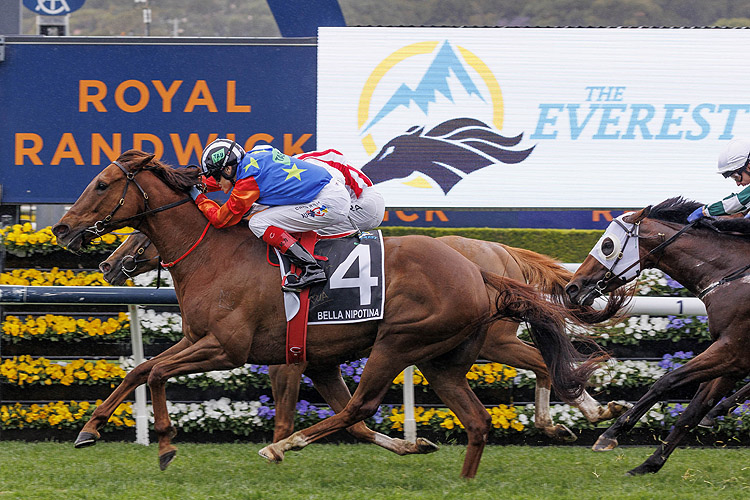 Today marks three months until the end of the racing season, meaning its timely to check in on the stallion premiership tables with several still well and truly up for grabs. racingandsports.com.au/news/bloodstoc…