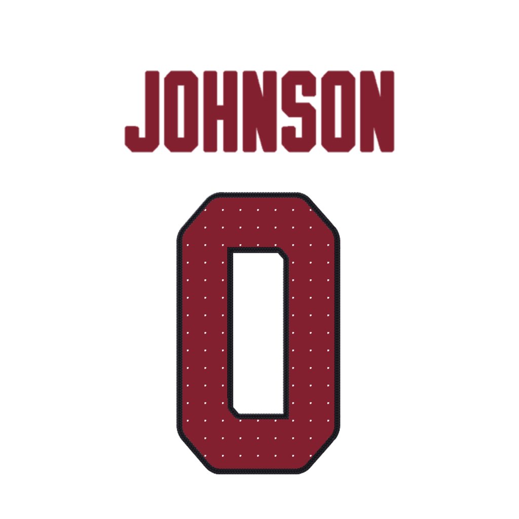 Arizona Cardinals DB Will Johnson  is wearing number 0. Last assigned to Zach Pascal. #BirdGang