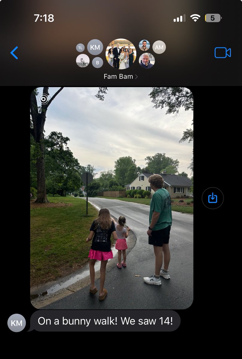 emily may tweet media