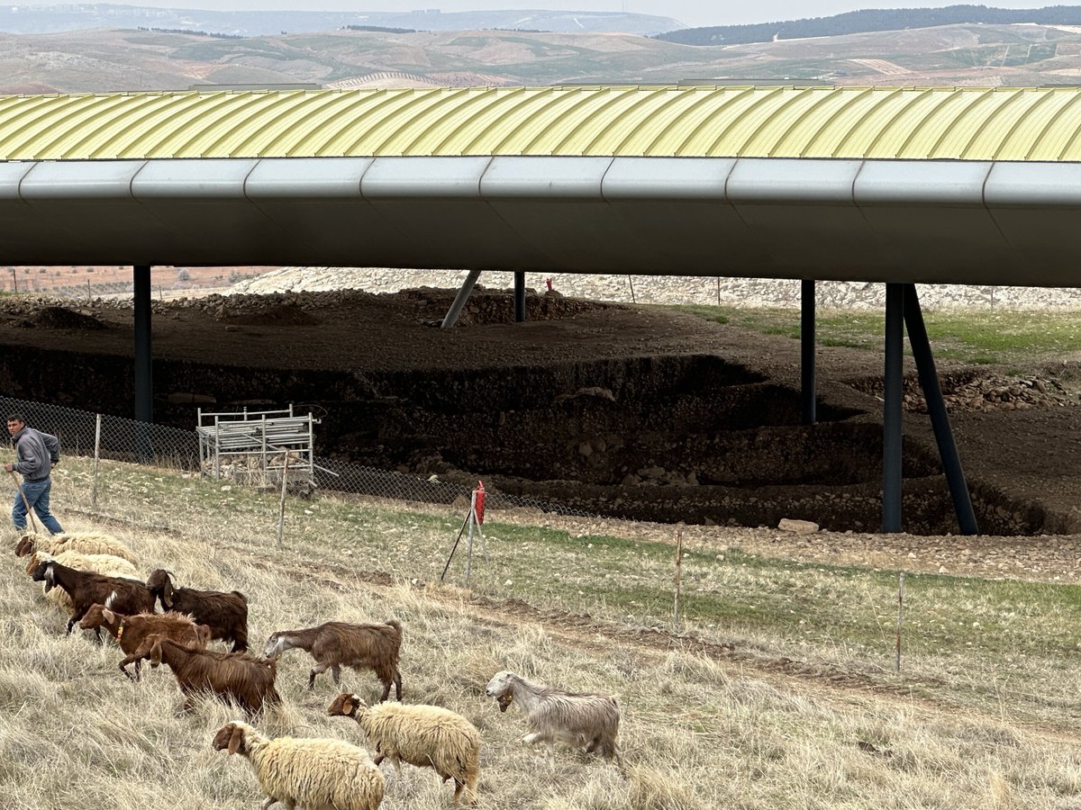 BrightInsight6's tweet image. 🚨A source within Gobekli Tepe has informed me that the Roof structure over the 2nd excavation area is on the verge of collapse!

📍Excavations in this area are suspended due to the structure being (unofficially?) condemned!

Why haven’t authorities shared this with the public?🧐