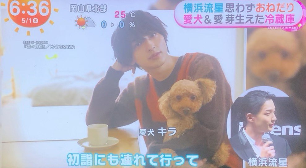 実家でキラというトイプードルを飼ってます。初詣にも連れて行って一緒