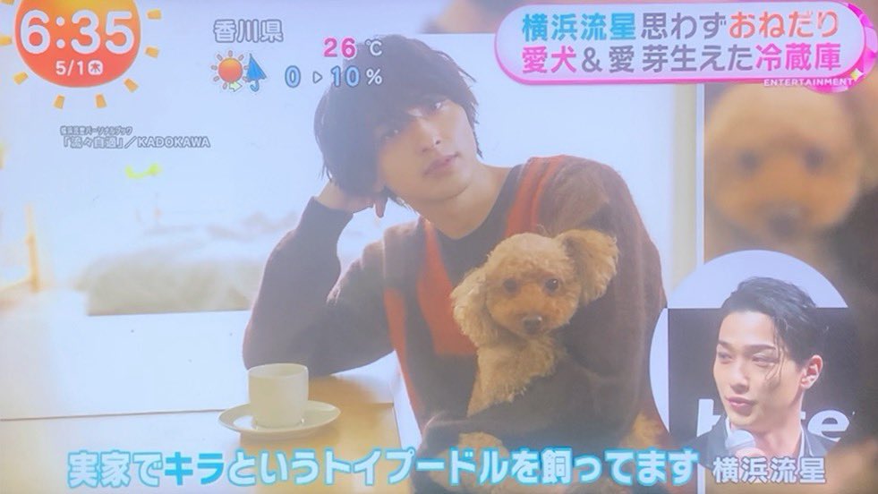 実家でキラというトイプードルを飼ってます。初詣にも連れて行って一緒