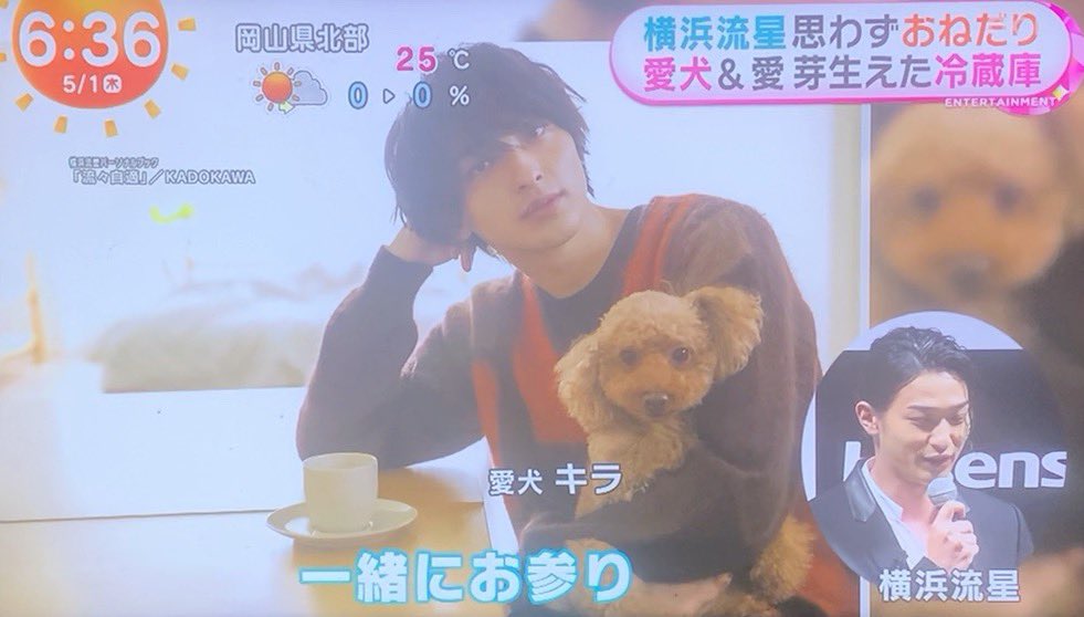 実家でキラというトイプードルを飼ってます。初詣にも連れて行って一緒