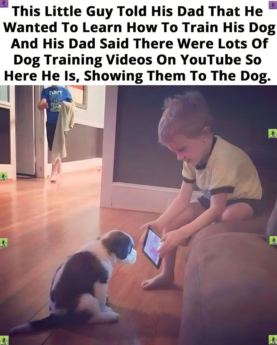 Puppieslover's tweet photo. https://t.co/bXmxnGI0ls