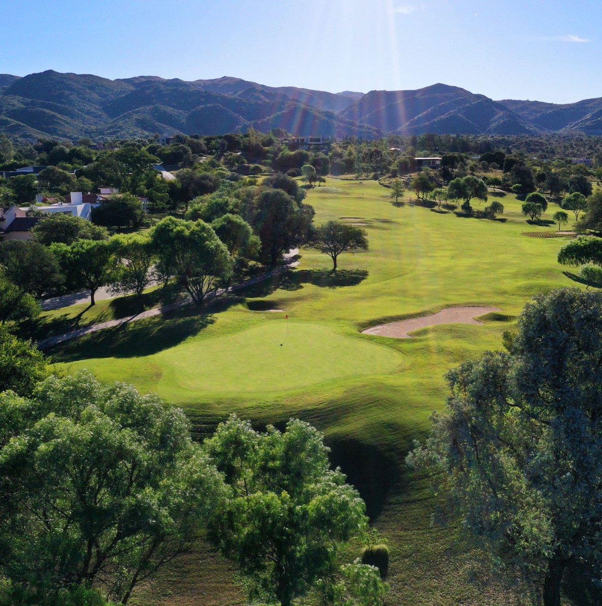 GOLF: Reapareció Andy Schonbaum (h) y se llevó el Clásico Nicasia de El Potrerillo de Larreta
talentosports.com.ar/noticia/8188/g…