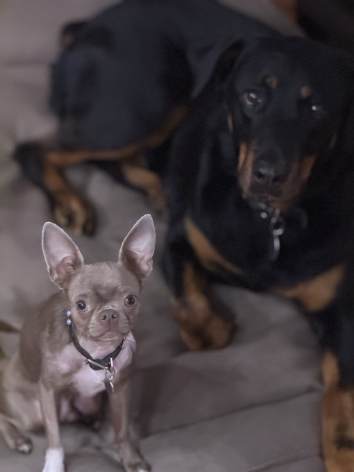 Watch Shay Sights's leaked NSFW photo on TwXstars