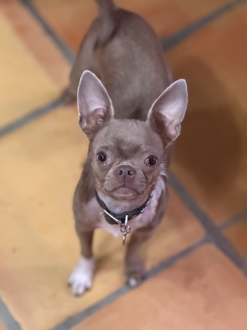 Watch Shay Sights's leaked NSFW photo on TwXstars