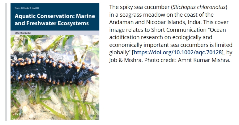My field picture of sea cucumber in seagrass from Andamans got selected to the Cover Page in Journal of Aquatic Conservation🙂 <a href="/sAmjob4321/">SamJob</a> <a href="/RaufAliGrants/">raufalifellowship</a>