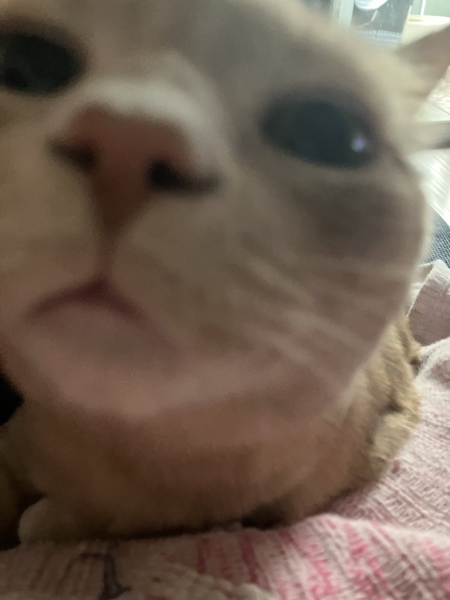 a lil kiss for everyone still wearing a mask and listening to science and protecting your communities 🤗