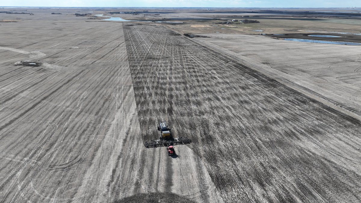 Tyler Burns tweet media