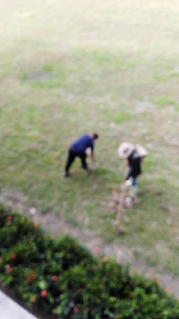 Facultad de Ciencias Sociales UCLV tweet media