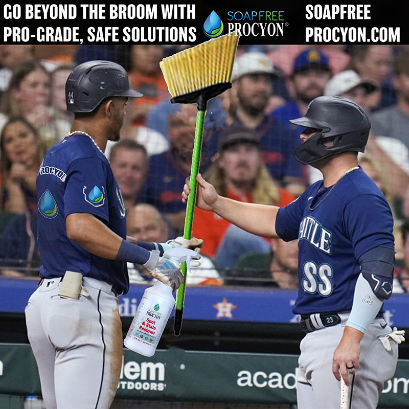 A sweep is nice, but it won't safely remove stains like wine, coffee, or hot dog condiments from your carpet. Make sure #Procyon Spot &amp; Stain Remover is #BattingCleanup in your lineup this season. 
#SpringCleaning
