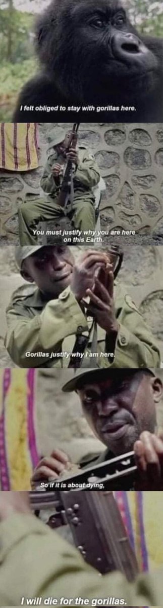 Enough about fighting the gorillas, how about protecting them instead.