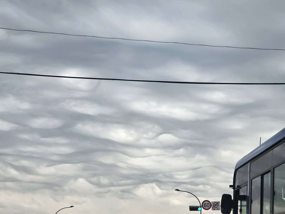 fallkniven_frej's tweet photo. Asperitas 구름 특징

마치 파도처럼 하늘 전체가 뒤틀려 움직이는 듯한 역동적인 모양.

일반적으로 비가 오기 전후, 전선대 근처, 또는 불안정한 대기에서 나타남.

2009년 세계기상기구(WMO)에 의해 공식적으로 제안되었고, 2017년부터 신종 구름으로 등재됨.

오늘 서울 https://t.co/Jrc0N282Dz