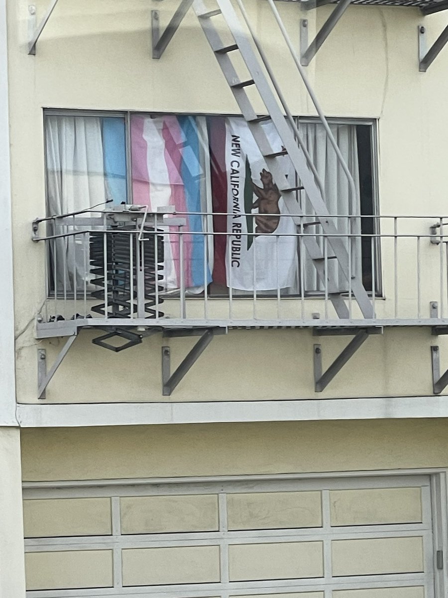 frogs4girls's tweet image. mmmm yea i’m sure