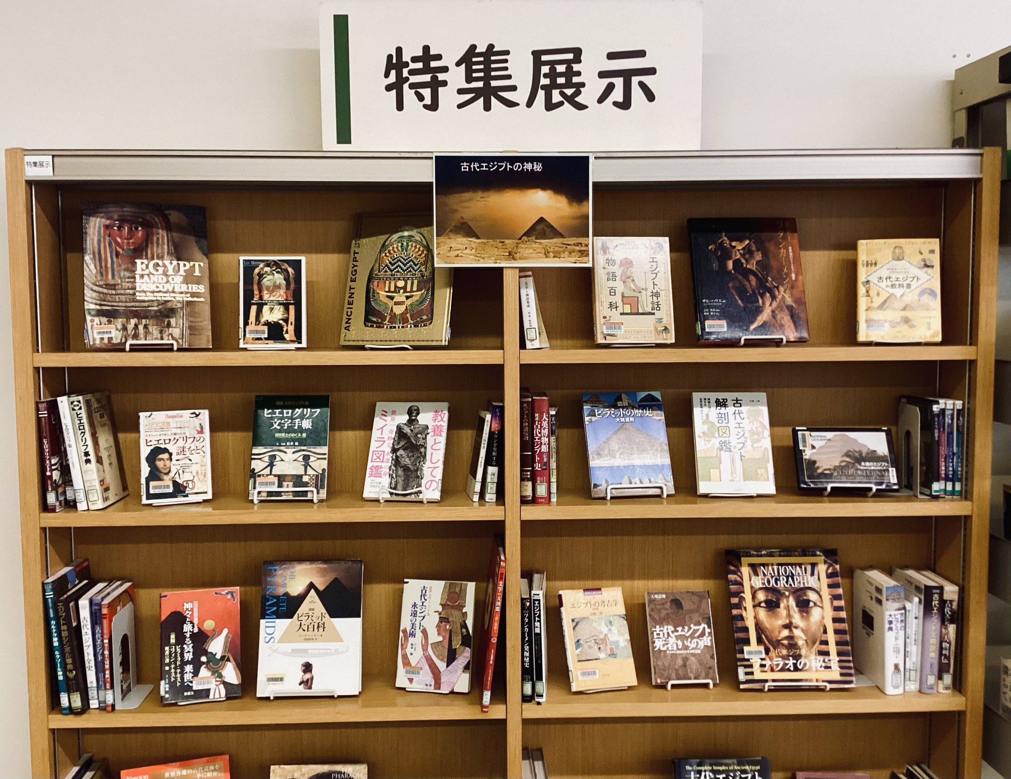 明治初期静岡県史料 全5冊 静岡県立中央図書館葵文庫 - 日本史