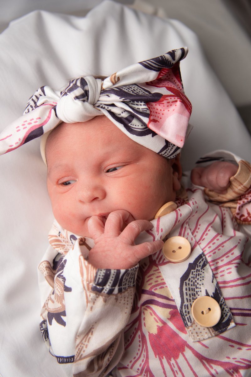 The_BatChannel's tweet photo. Ladies, gentlemen, and our fellow #BATtalion community! Allow me to introduce you to #WonderWife (now promoted to #WonderMom) and I’s legacy and newest member to our family…
Please welcome Diana Lilly H.
#Baby #newborn #family #TheBatChannel #BatDaddy #legacy #YouTube https://t.co/m2ScEP8PxK