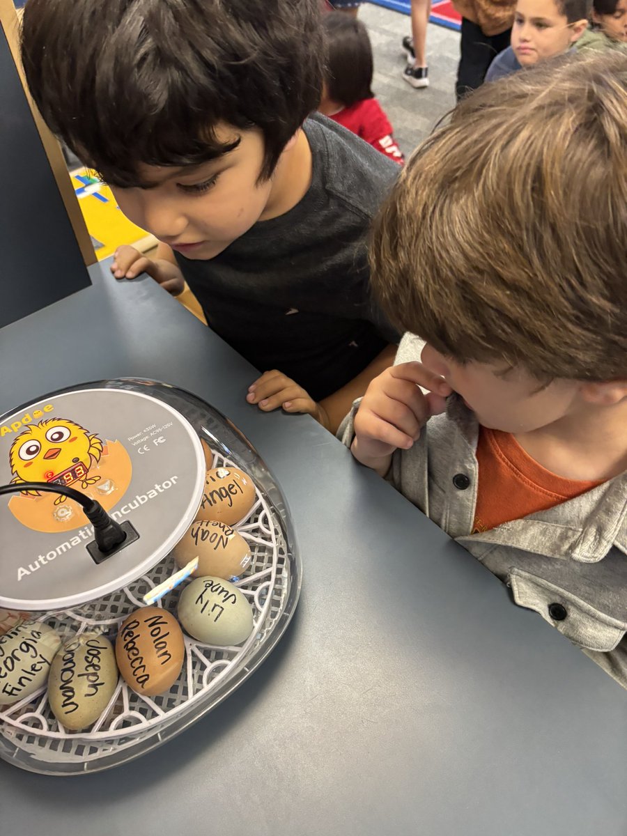 Jamie Alvarez (@runner58446) on Twitter photo My favorite time of the yearβ¦..21 days and we will have baby chicks. π£ I loved the excitement of my littles when they got to pick their egg out and now we waitβ¦.
<a href="/DosCaminosPVSD/">Dos Caminos School</a> My favorite time of the yearβ¦..21 days and we will have baby chicks. π£ I loved the excitement of my littles when they got to pick their egg out and now we waitβ¦.
<a href="/DosCaminosPVSD/">Dos Caminos School</a>