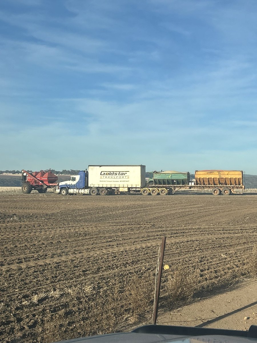 JJB McGill esquire Hoolz. living on McGill land tweet media