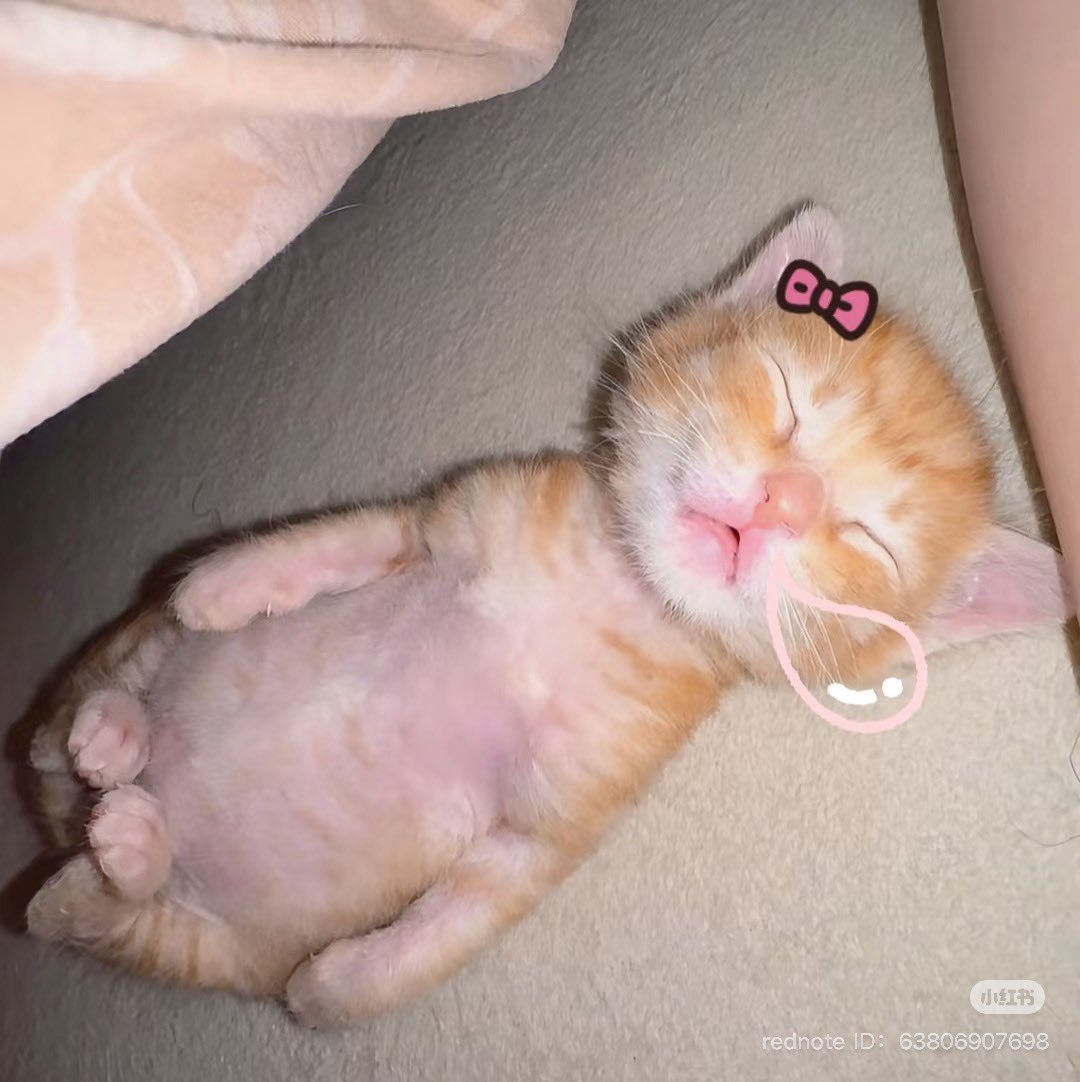 kimi 𐚁 ྀིྀིྀིྀིྀི (@piinkimi_) on Twitter photo 