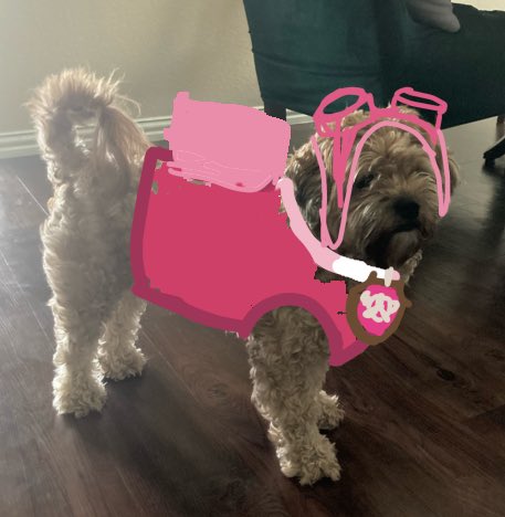 Crappy ahh drawing on my pet dog