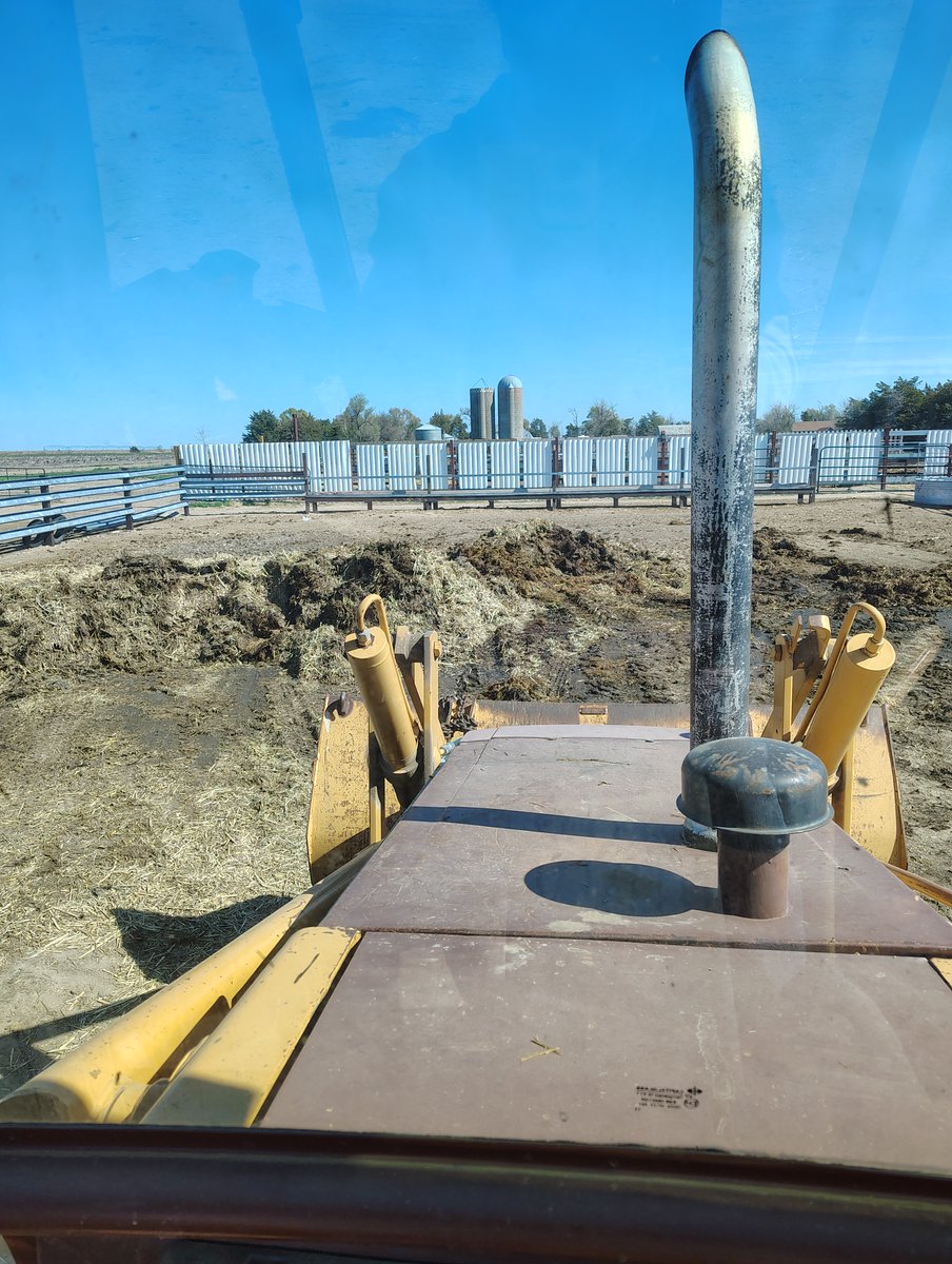 My view this morning. Third pen done.
Happy Birthday to me! Cleaning cow shit...