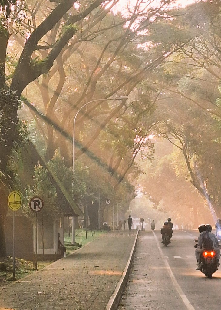 barabarambis's tweet image. Dem