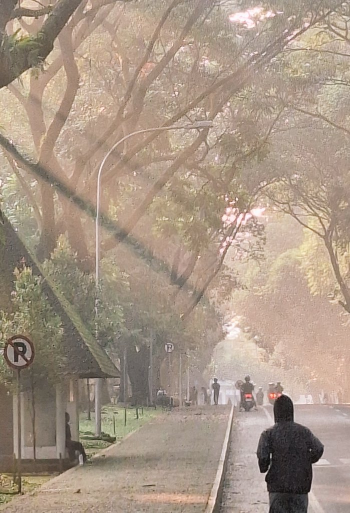 barabarambis's tweet image. Dem