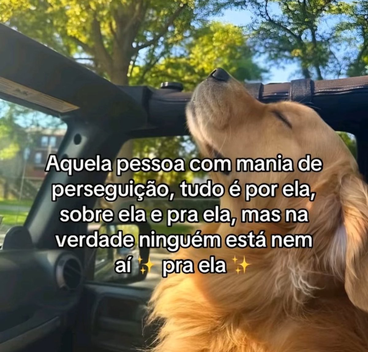 musa dos meme (@musadosmeme) on Twitter photo 