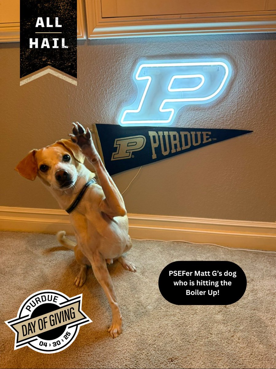 PSEF_Purdue's tweet photo. BOOOOILER UP! HAMMER DOWNNN! PSEFer Matt G's dog hitting the Boiler Up, Hammer Down! #PSEF #PurdueDayofGiving https://t.co/Y8dCKYk88J