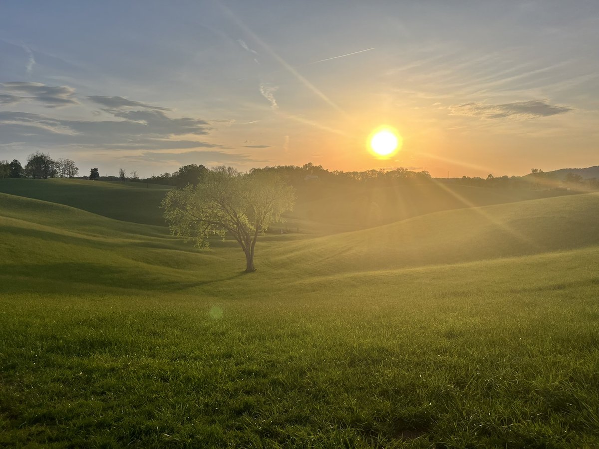 J. Chad Morrison tweet media