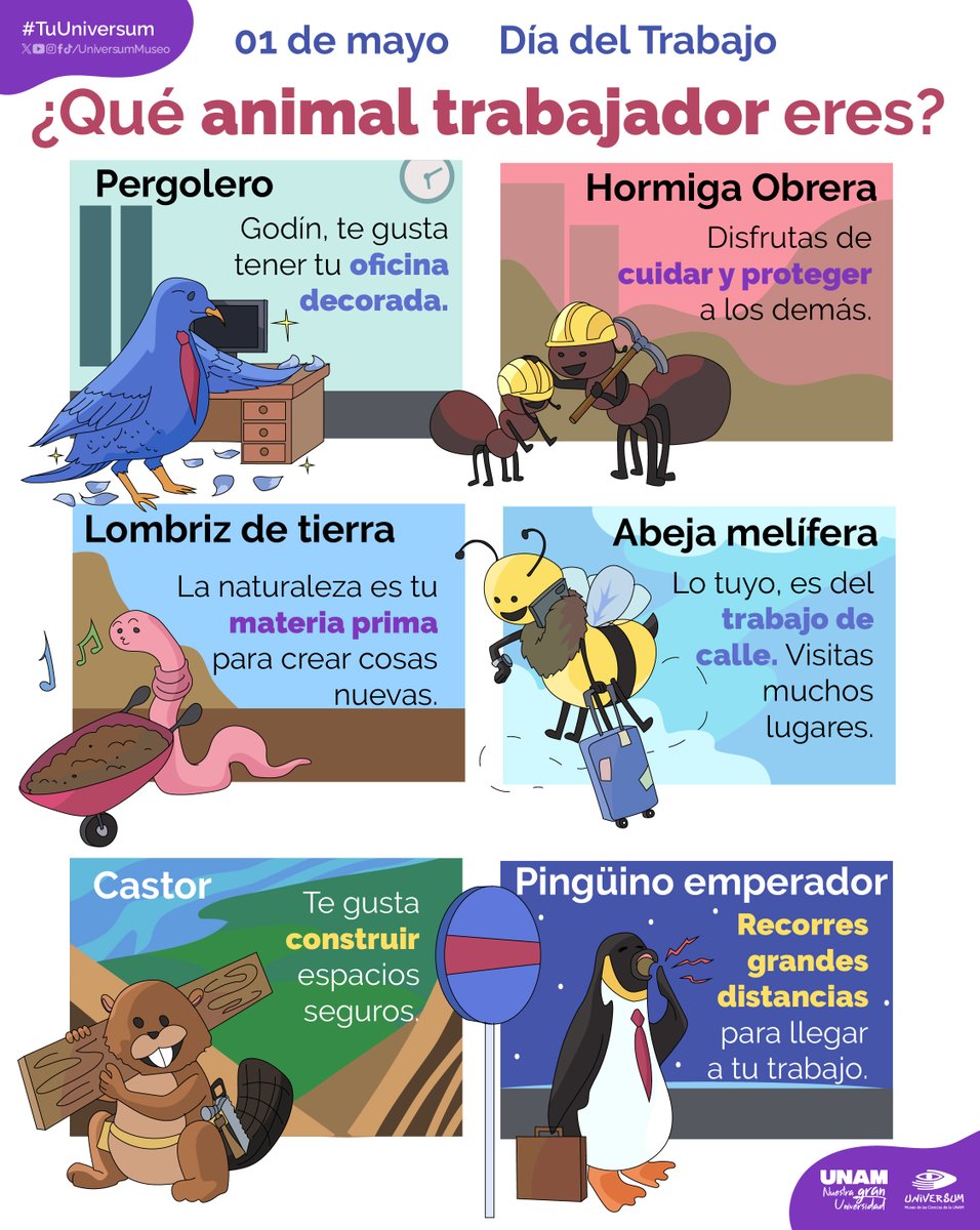 No todos los trabajadores llevan uniforme. 💼🩺️🥼
¿Con cuál de estos animalitos trabajadores te identificas?😁
#TuUniversum